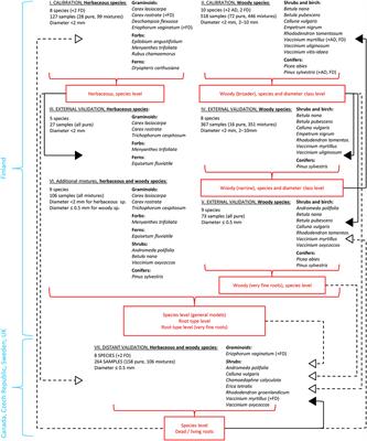 Quantification of Plant Root Species Composition in Peatlands Using FTIR Spectroscopy